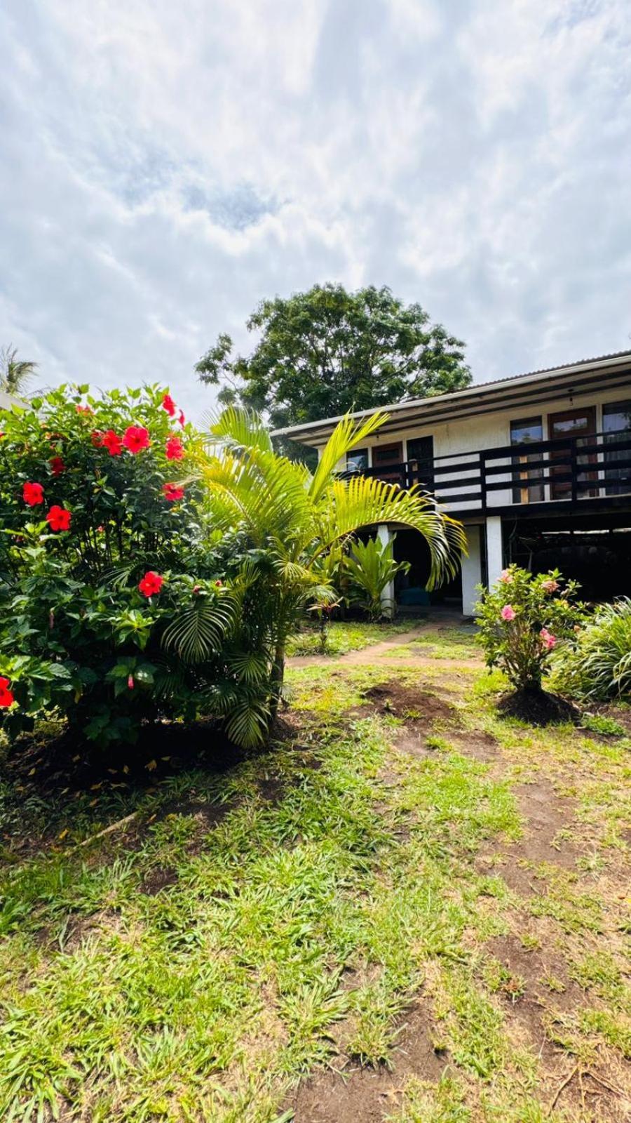 Mata Nui Eco Hostel Hanga Roa Exteriör bild